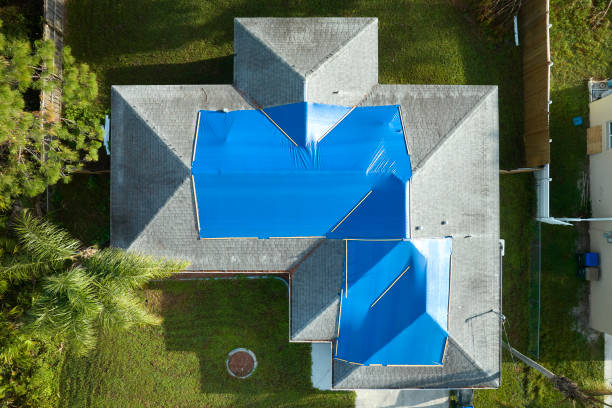 Best Metal Roofing Installation  in Luckey, OH
