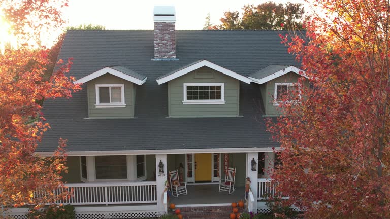 Best Roof Moss and Algae Removal  in Luckey, OH