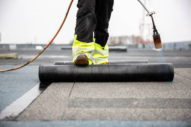 Best Roof Insulation Installation  in Luckey, OH